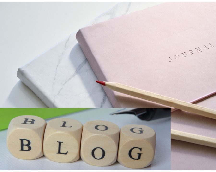 I will write blog and article writing for you