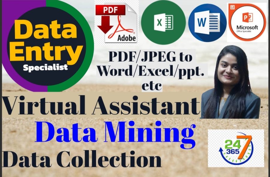 I will do professional data entry, virtual assistant work, typing, and web research