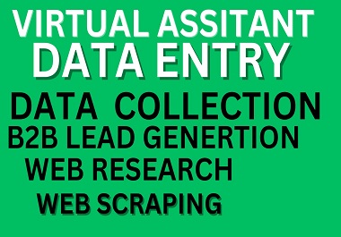 I will do data entry, web research, copy paste and data mining