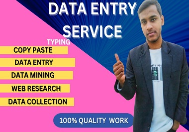 I will do data entry, web research, copy paste and data mining