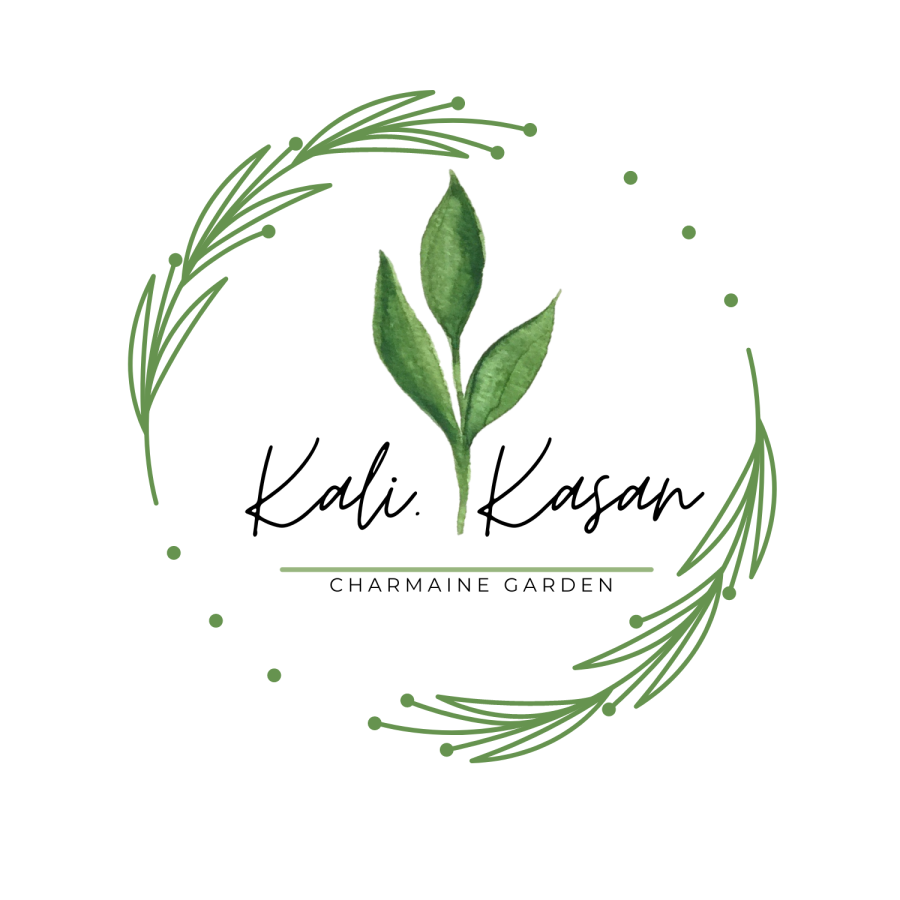 Professional Custom Logo Design - Create a Unique and Memorable Brand Identity