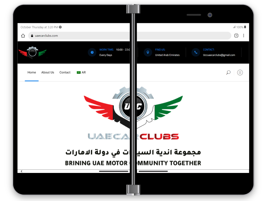 I will Create High Quality Website With Wordpress (Store,Protfolio,Blog)