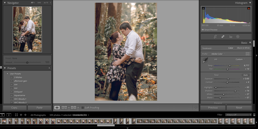 I will do best portrait photo editing on photoshop and lightroom