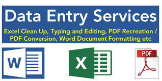 I will give data entry service ,ms office,web research,convert data ,cv writing