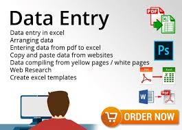 I will give data entry service ,ms office,web research,convert data ,cv writing