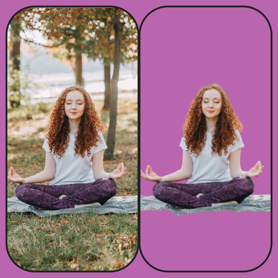  Professional Photo Background Removal 
