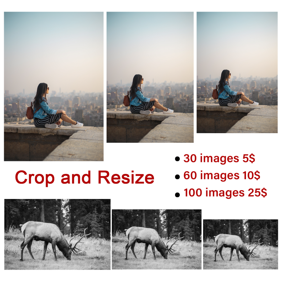 I Will Do Photo Background Removal, Crop and resize images perfectly