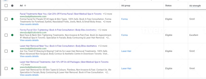 I will set up and manage high profitable google ads 