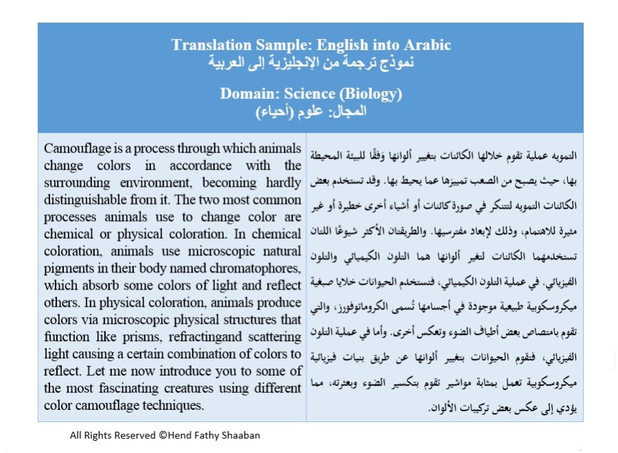 Accurate Scientific Translation (English into Arabic)