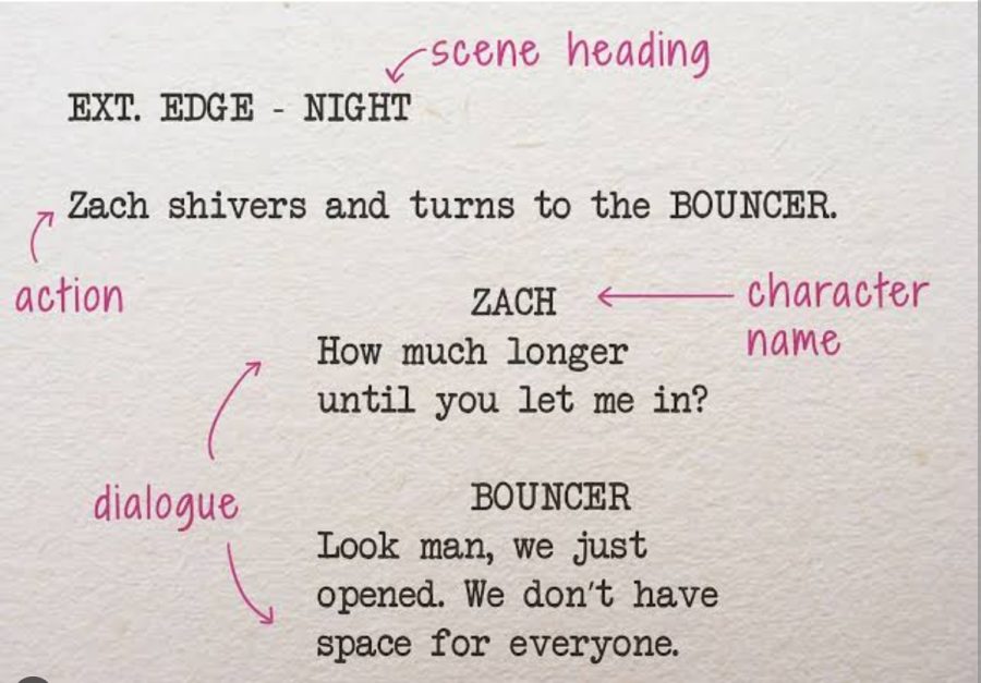 I will Write a standard movie's script for your production.