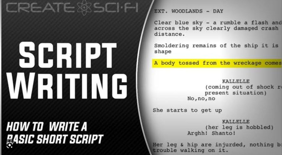 I will Write a standard movie's script for your production.