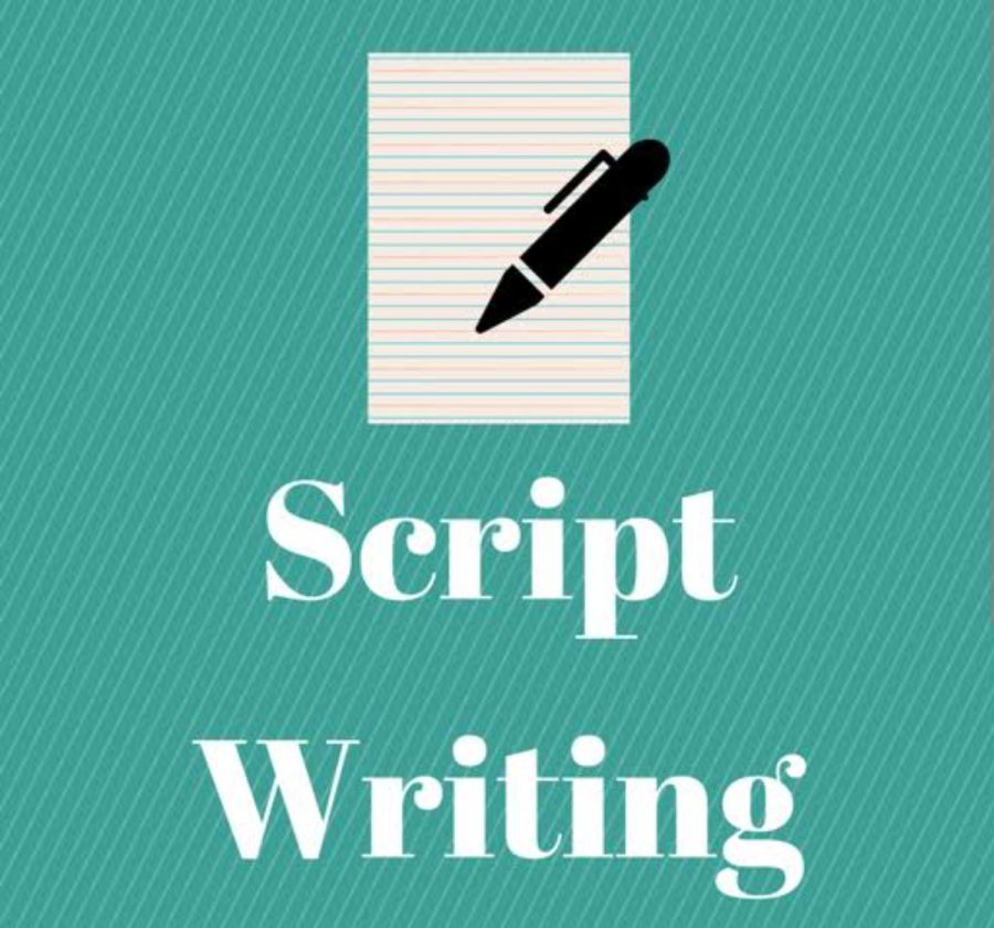 I will Write a standard movie's script for your production.