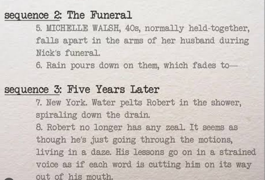 I will Write a standard movie's script for your production.