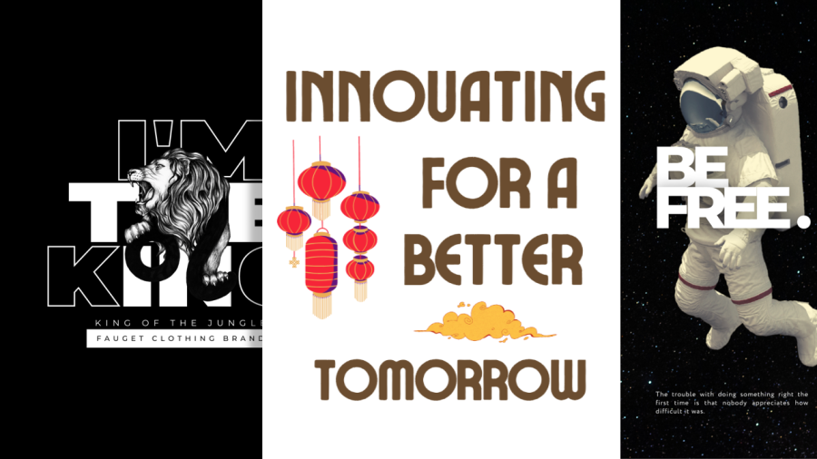 I will Create Best Clothing Logo Design for you need