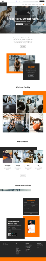Design & develop Wix website with free Wix hosting plan 