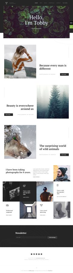 Build Professional Wix website with free Wix hosting plan 