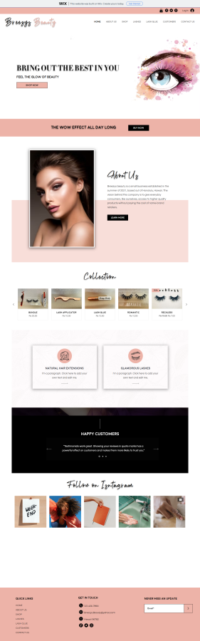 I Can Customize, Redesign Wordpress Website, Fully Responsive Website design 