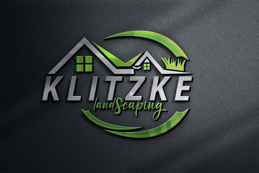 I will do Create a professional business logo 