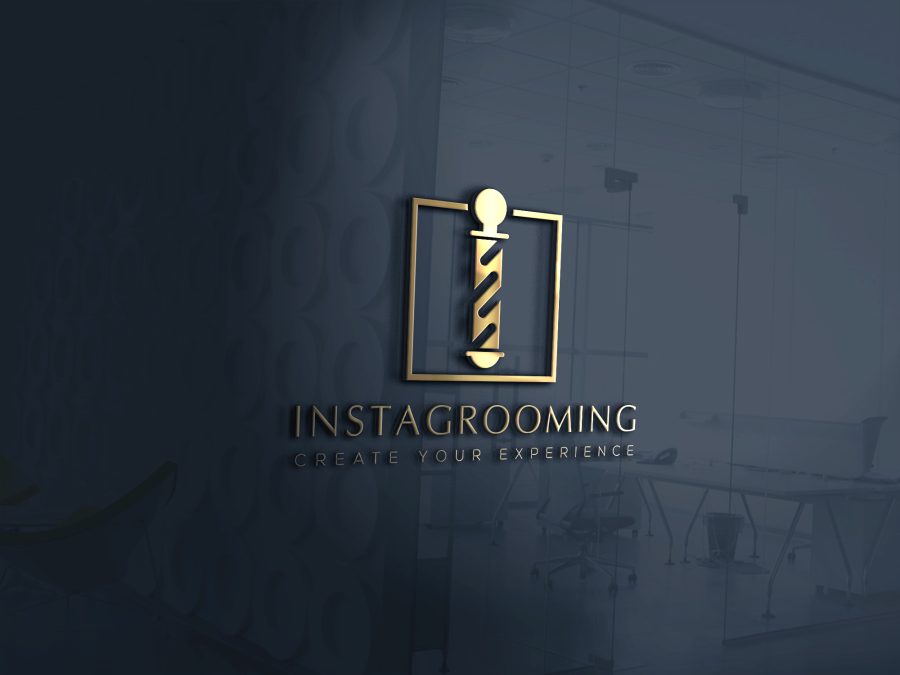 I will do Create a professional business logo 