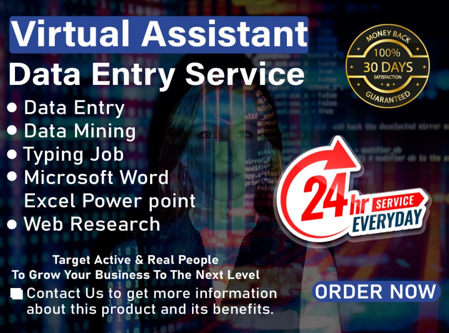 Professional Virtual Assistant for Data Entry, Web Scraping, Excel, Typing, and Copy Paste Work