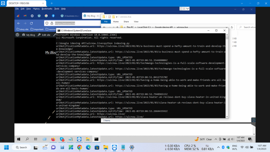 Setup an Instant Google Indexing API using a Python script