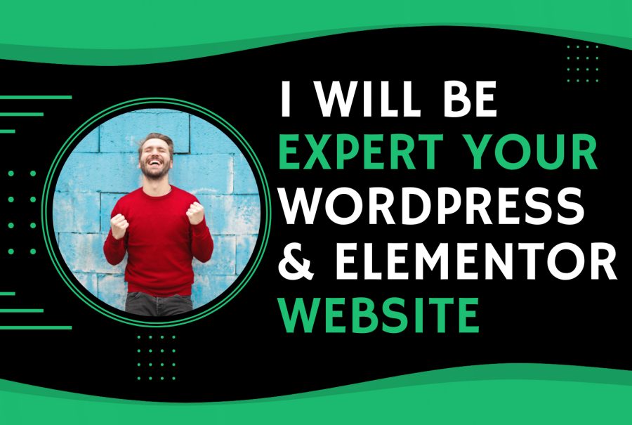 I will elementor expert, clone, duplicate, rebuild, revamp website with elementor