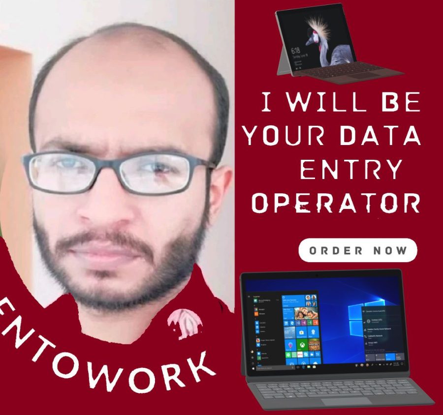 I will do any type of data entry or web research work