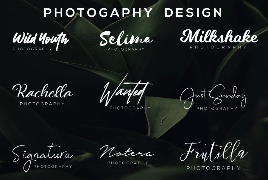 I will do calligraphy, script, typography, handwritten signature logo 