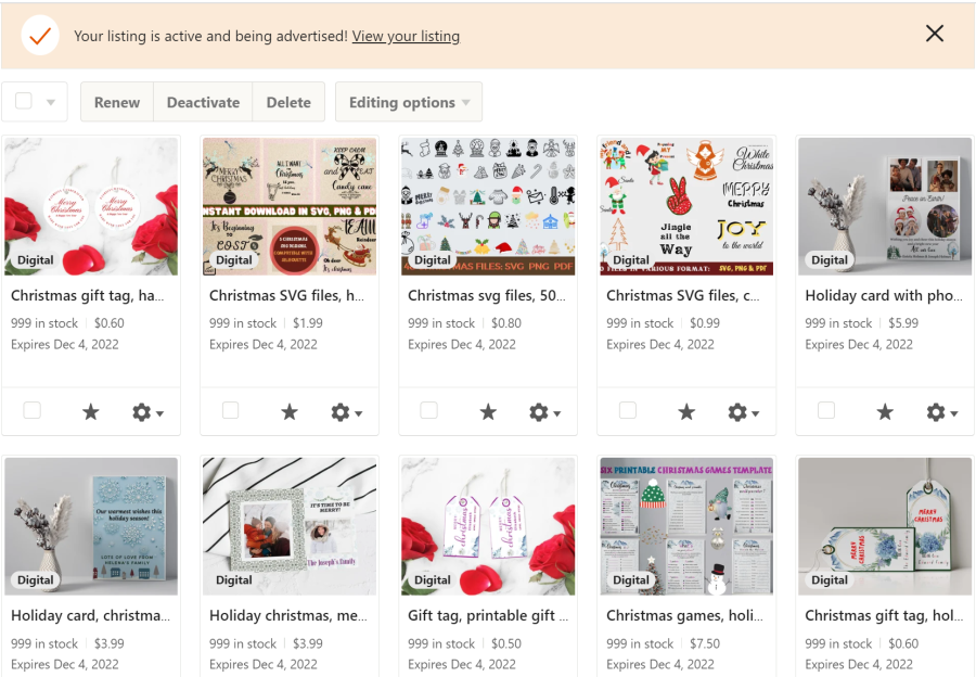 I will design and upload 10 digital products on your Etsy store with ON PAGE SEO.