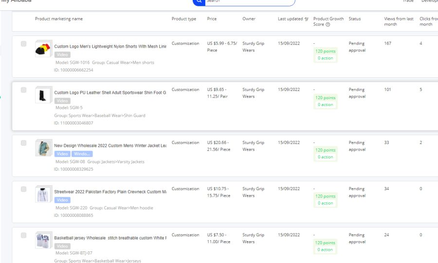 I will be your virtual assistant for Alibaba.