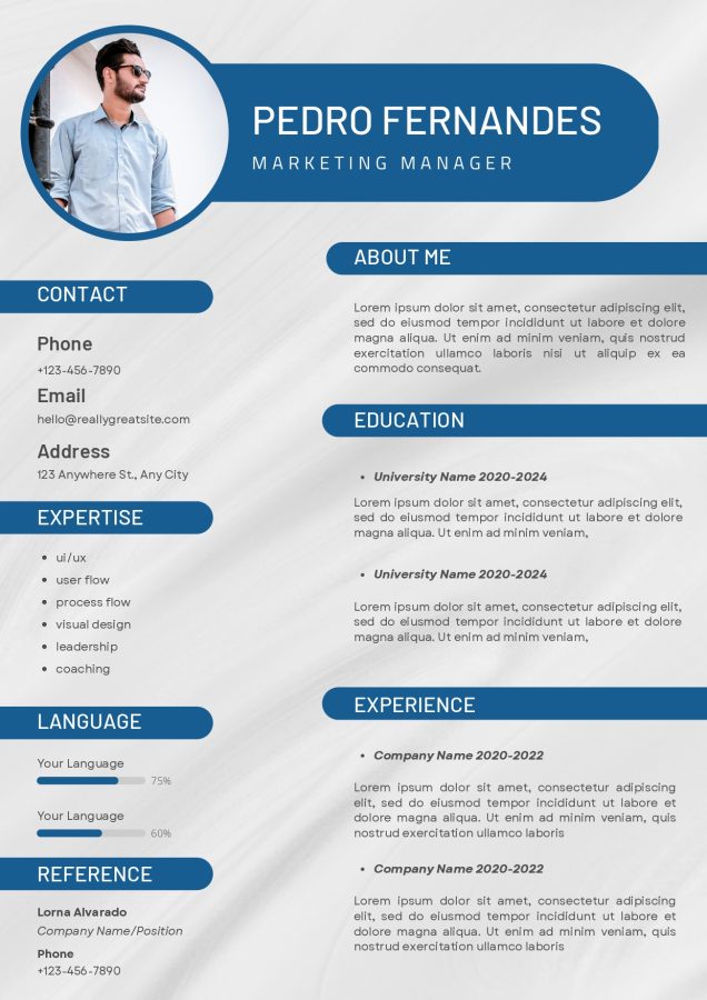 I will write your Resume in a Professional Manner for you