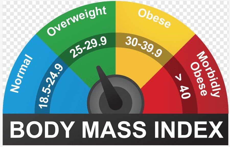 BMI Calculator Web App Tool built using HTML, CSS and JS || Body Mass Index
