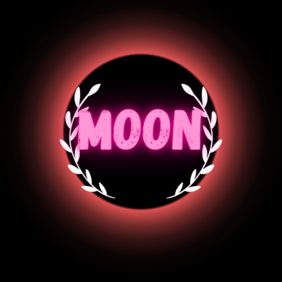 I will design professional custom logos for you 