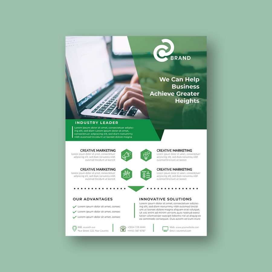 Design professional flyer or brochure for your business