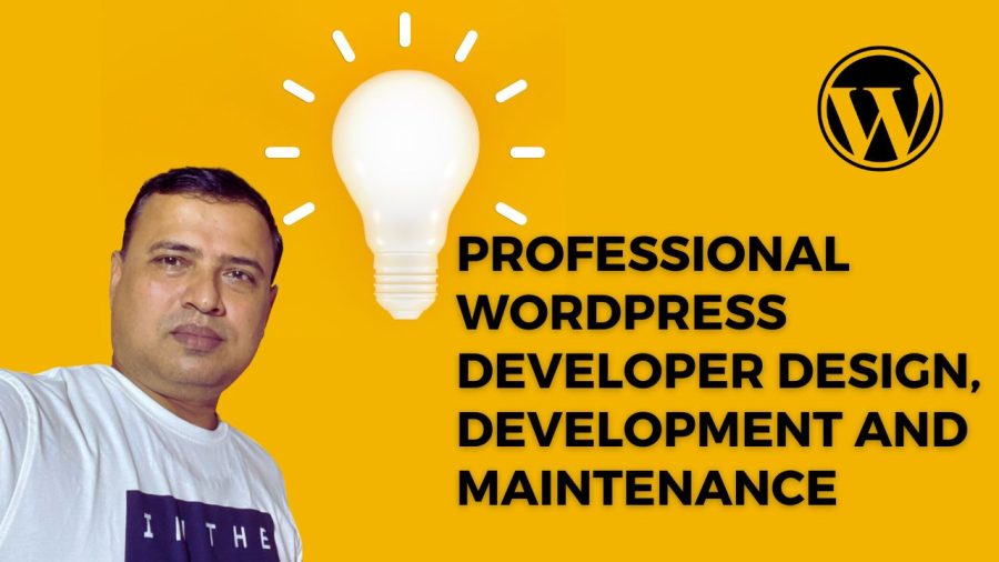 Professional WordPress Developer: Design, Development, and Maintenance