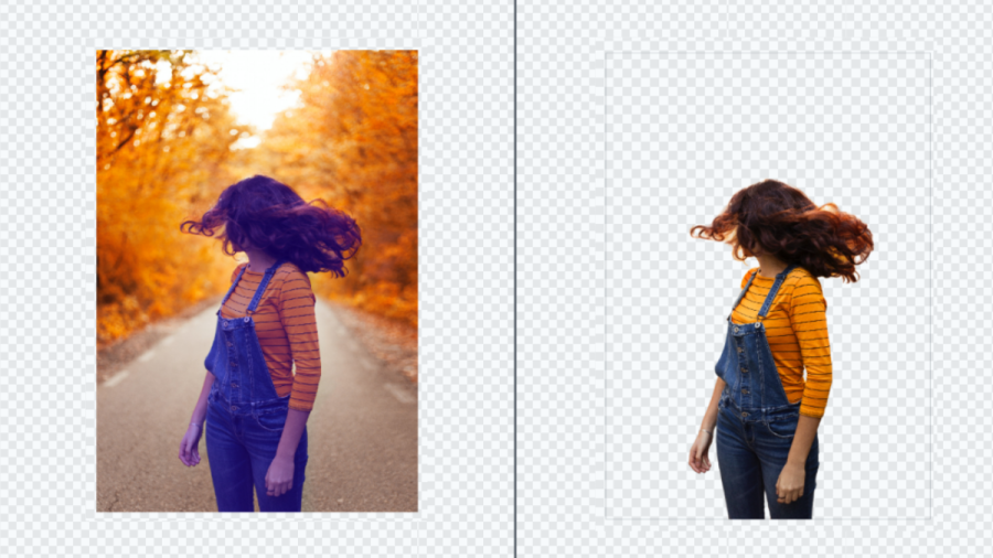 Effortlessly Remove Backgrounds with Our Image Background Remover