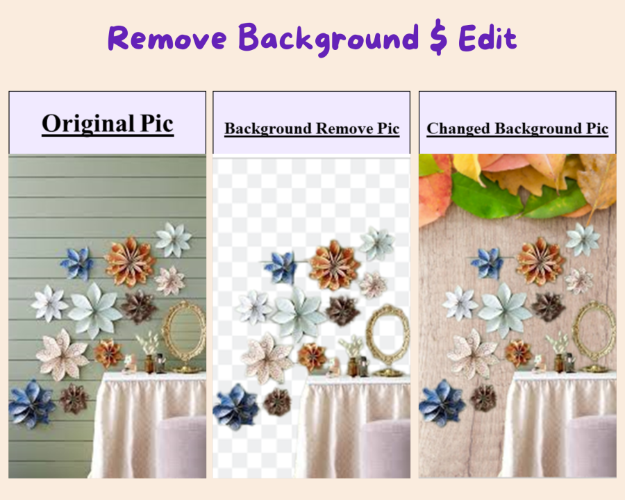 I will do Data Entry, Copy Paste, Manual typing, PDF conversion, Remove Background and Editing