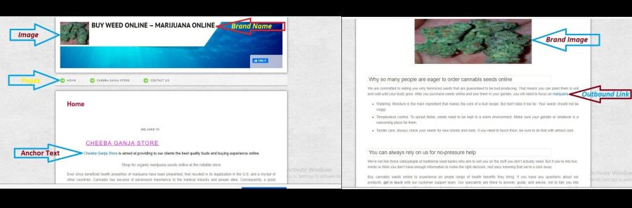 I will increase domain authority moz da 80 high quality backlinks