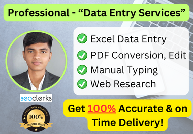 I'll Do Fast Excel Data Entry, Copy Paste, Typing, PDF Conversion
