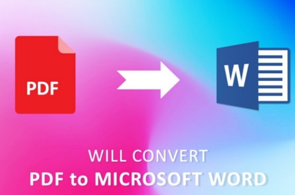 I will Convert Pdf to Microsoft Word
