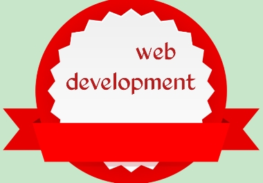  Professional Web development service 