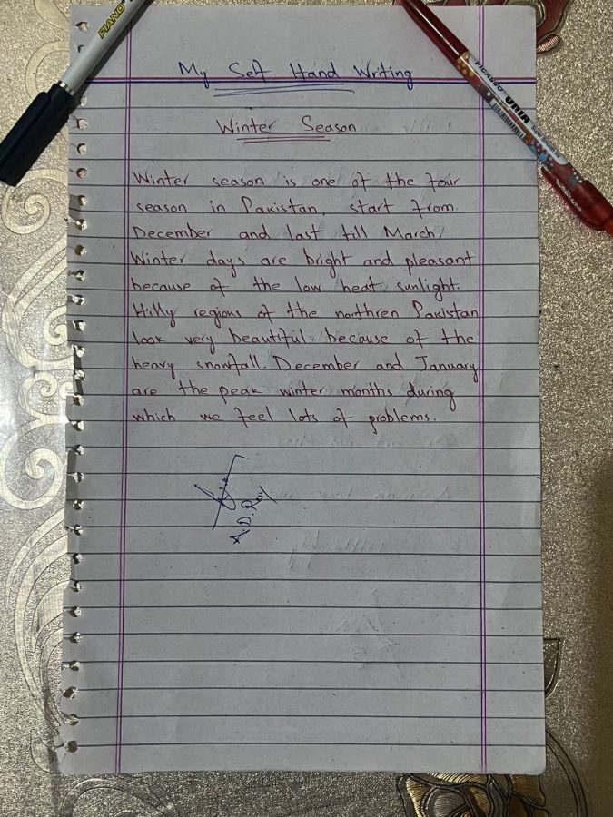  I will handwrite your daily work faster and accurate