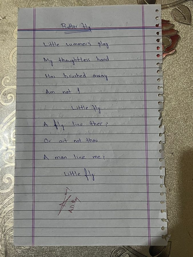  I will handwrite your daily work faster and accurate