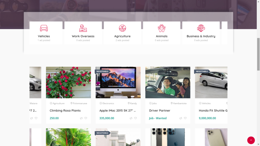 I Will Create Wordpress Professional Classifieds Websites