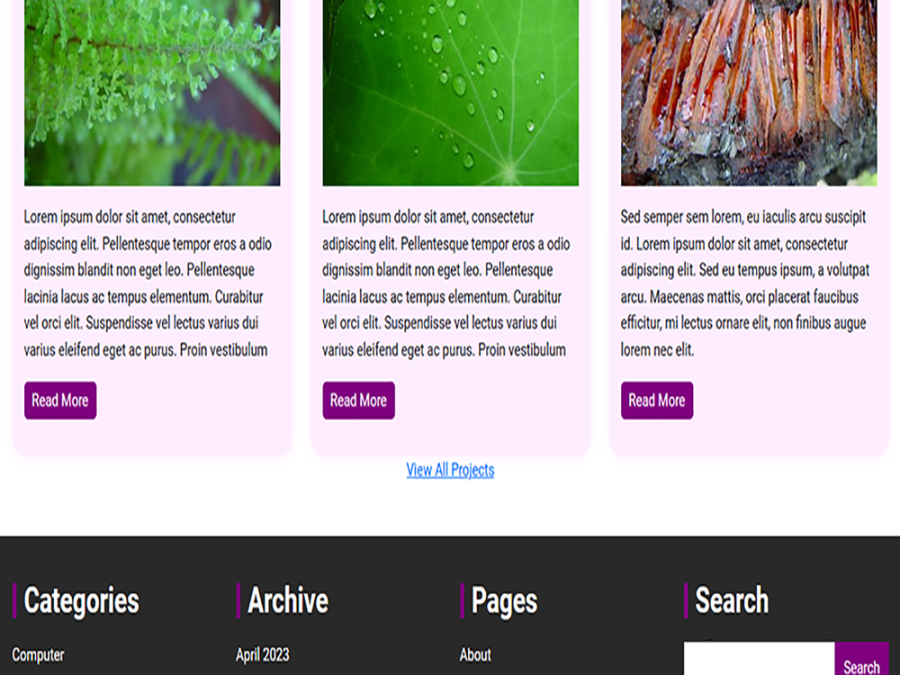 Develop WordPress Website and portfolio