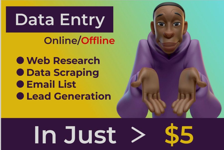 I will do data entry, data collection, web research and copy paste job for you