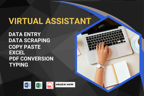 I will provide reliable data entry service, copy paste, and PDF to Word or Excel conversion