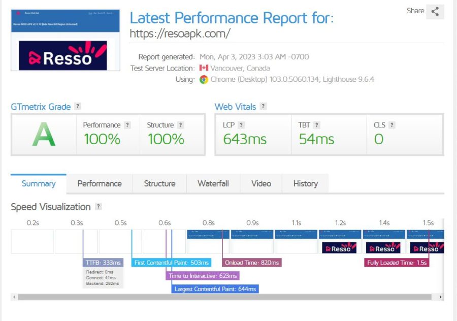 Professional Website Speed Optimization for Better User Experience