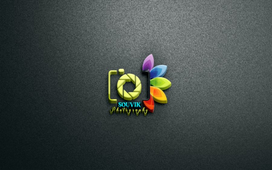 I will creative&nbsp;Professional 3D logo design