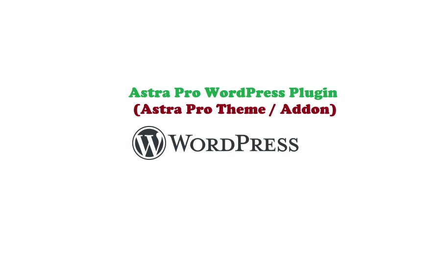 I will install WordPress licensed Plugins & Theme (Elementor pro, Astra pro, YOAST SEO etc.)